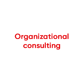organizational consulting